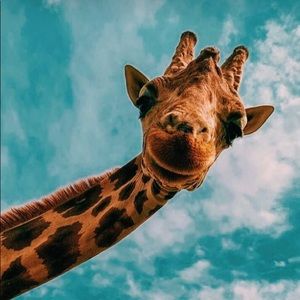 Meet your Posher, Sinead